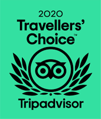 Tripadvisor Reveals 2020